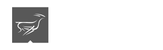 Front Runner